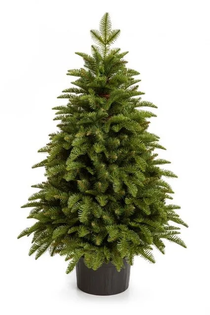 Jedlička Krkonošská 3D stromček 60 cm